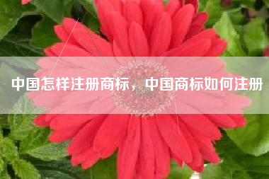 中国怎样注册商标,中国商标如何注册 中国怎样注册商标,中国商标如何注册