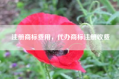 注册商标费用,代办商标注册收费 注册商标费用,代办商标注册收费