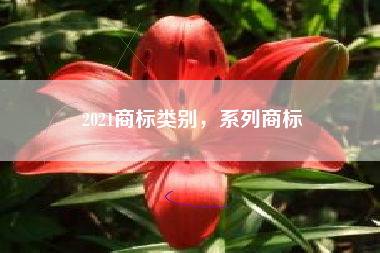 2021商标类别，系列商标