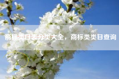 商标类目表分类大全，商标类类目查询