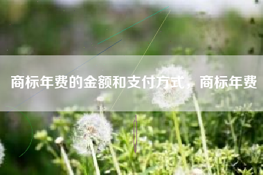 商标年费的金额和支付方式，商标年费