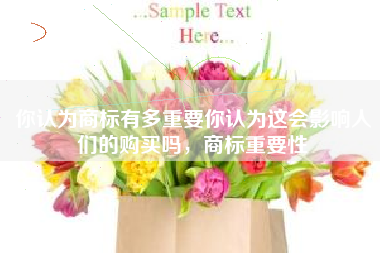 你认为商标有多重要你认为这会影响人们的购买吗，商标重要性