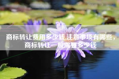 商标转让费用多少钱,注意事项有哪些，商标转让一般需要多少钱