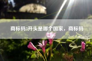 商标码3开头是哪个国家，商标码