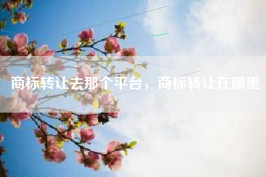 商标转让去那个平台，商标转让在哪里