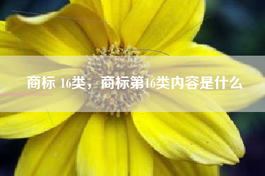 商标 16类，商标第16类内容是什么