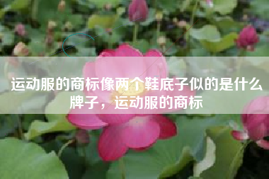 运动服的商标像两个鞋底子似的是什么牌子，运动服的商标
