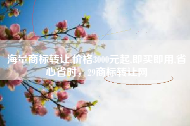 海量商标转让,价格3000元起,即买即用,省心省时，29商标转让网
