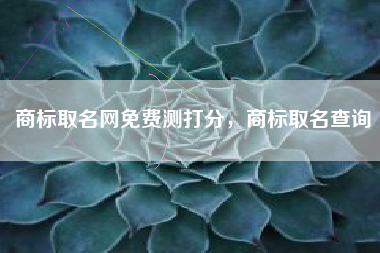 商标取名网免费测打分，商标取名查询