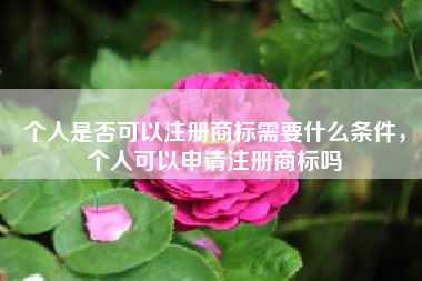 个人是否可以注册商标需要什么条件,个人可以申请注册商标吗 个人是否可以注册商标需要什么条件,个人可以申请注册商标吗