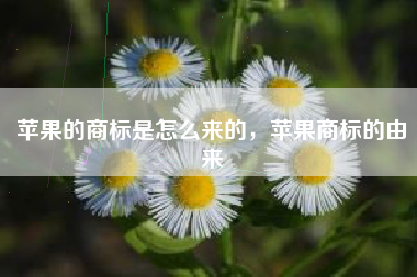 苹果的商标是怎么来的，苹果商标的由来