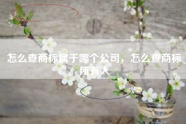 怎么查商标属于哪个公司，怎么查商标所有人