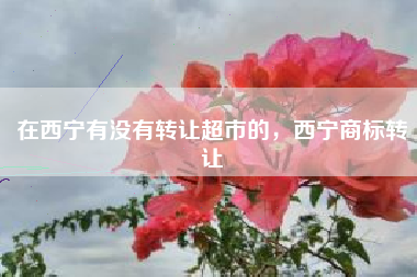 在西宁有没有转让超市的，西宁商标转让