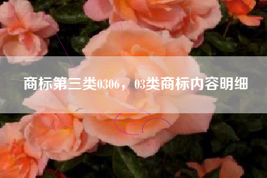 商标第三类0306，03类商标内容明细