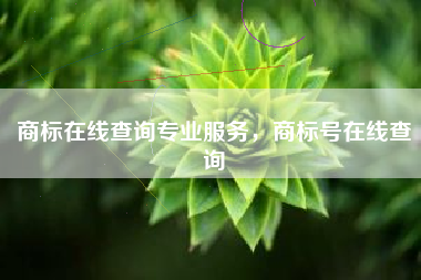 商标在线查询专业服务，商标号在线查询