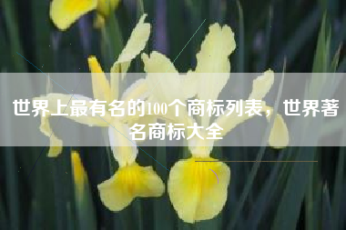 世界上最有名的100个商标列表，世界著名商标大全