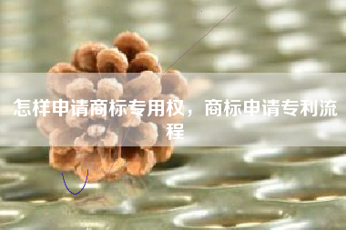 怎样申请商标专用权，商标申请专利流程