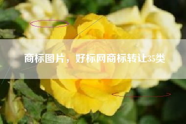 商标图片，好标网商标转让35类