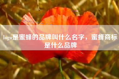 logo是蜜蜂的品牌叫什么名字，蜜蜂商标是什么品牌