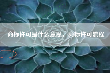 商标许可是什么意思，商标许可流程