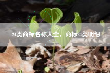 24类商标名称大全，商标24类明细