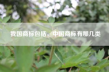 我国商标包括，中国商标有那几类