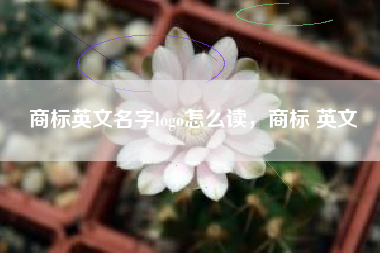 商标英文名字logo怎么读，商标 英文