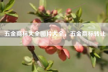 五金商标大全图片大全，五金商标转让