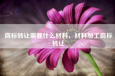 商标转让需要什么材料，材料加工商标转让
