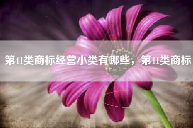 第41类商标经营小类有哪些，第41类商标
