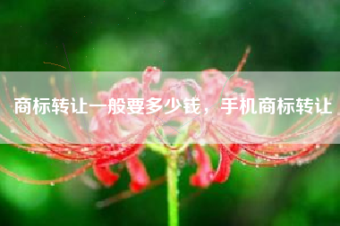 商标转让一般要多少钱，手机商标转让