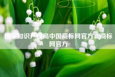 国家知识产权局中国商标网官方，商标网官方