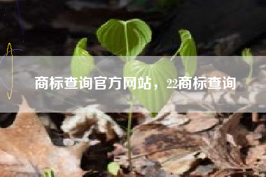 商标查询官方网站，22商标查询