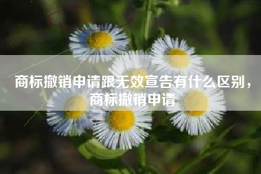 商标撤销申请跟无效宣告有什么区别，商标撤销申请