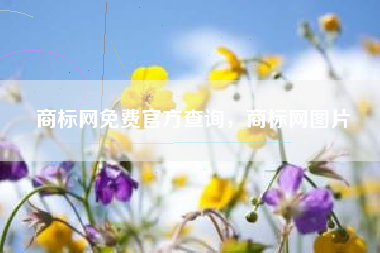 商标网免费官方查询，商标网图片