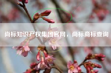 尚标知识产权集团官网，尚标商标查询