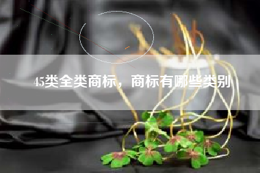 45类全类商标，商标有哪些类别