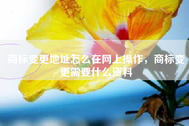 商标变更地址怎么在网上操作，商标变更需要什么资料