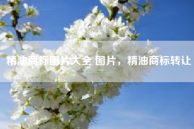 精油商标图片大全 图片，精油商标转让