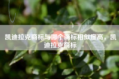 凯迪拉克商标与哪个商标相似度高，凯迪拉克商标
