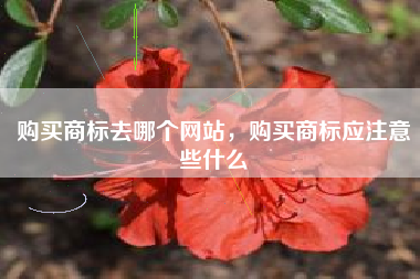 购买商标去哪个网站，购买商标应注意些什么