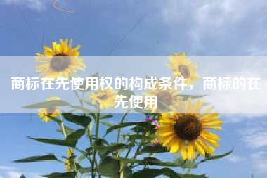 商标在先使用权的构成条件，商标的在先使用