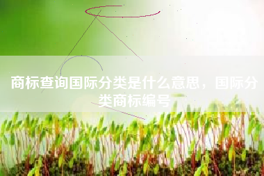 商标查询国际分类是什么意思，国际分类商标编号