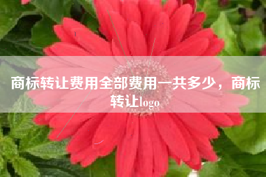 商标转让费用全部费用一共多少，商标转让logo