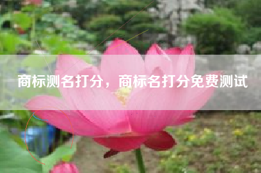 商标测名打分，商标名打分免费测试