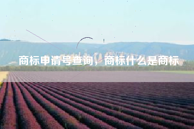 商标申请号查询，商标什么是商标