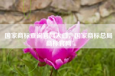 国家商标查询官网入口，国家商标总局商标官网