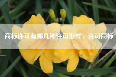 商标许可有哪几种许可形式，许可商标