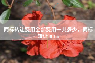 商标转让费用全部费用一共多少，商标转让187tm