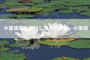 小蜜蜂商标是什么牌子的衣服，小蜜蜂商标